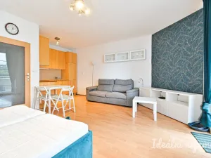 Pronájem bytu 1+kk, Brno - Židenice, Bělohorská, 38 m2