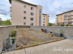 Pronájem bytu 1+kk, Brno - Židenice, Bělohorská, 38 m2