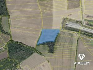 Prodej podílu pole, Praha - Točná, 7190 m2