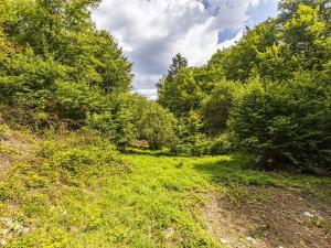 Prodej pozemku pro bydlení, Jílové u Prahy, Husova, 3117 m2
