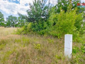 Prodej pozemku pro bydlení, Holany, 1903 m2