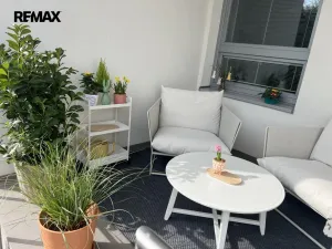 Pronájem kanceláře, Třebíč - Nové Město, Brněnská, 19 m2