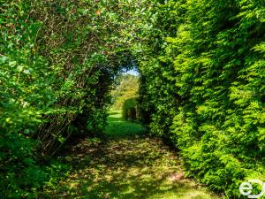 Prodej rodinného domu, Liberec, Pivovarská, 121 m2