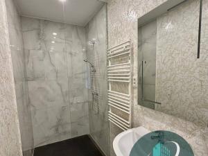 Pronájem bytu 2+kk, Praha - Žižkov, U kněžské louky, 80 m2