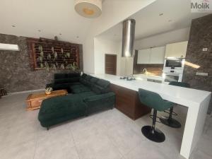 Pronájem rodinného domu, Háj u Duchcova - Domaslavice, Lesní stezka, 768 m2