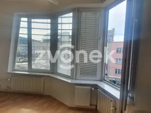 Pronájem bytu 1+kk, Zlín, Dlouhá, 25 m2