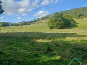 Prodej rodinného domu, Město Albrechtice - Hynčice, 500 m2