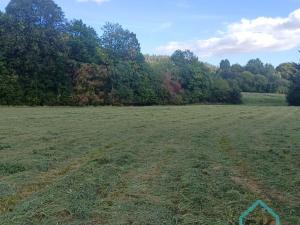 Prodej rodinného domu, Město Albrechtice - Hynčice, 500 m2