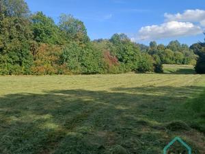 Prodej rodinného domu, Město Albrechtice - Hynčice, 500 m2