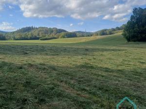 Prodej rodinného domu, Město Albrechtice - Hynčice, 500 m2