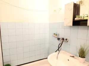 Prodej bytu 1+kk, Liberec - Liberec XII-Staré Pavlovice, Polní, 28 m2