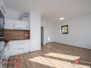 Pronájem bytu 2+kk, Plzeň - Východní Předměstí, Sladová, 60 m2