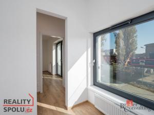 Pronájem bytu 2+kk, Plzeň - Východní Předměstí, Sladová, 60 m2