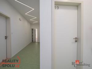 Pronájem bytu 2+kk, Plzeň - Východní Předměstí, Sladová, 60 m2