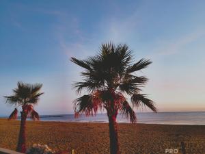 Prodej bytu 3+kk, Silvi,Itálie, 50 m2