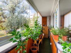 Prodej bytu 2+kk, Praha - Motol, 42 m2