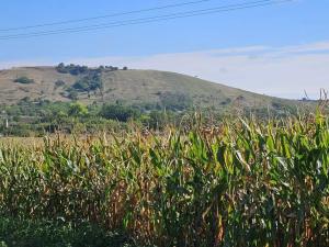 Prodej pozemku pro bydlení, Pouzdřany, Sklepní, 521 m2