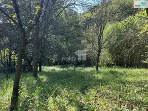 Prodej chaty, Březnice, 18 m2