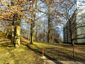 Prodej bytu 3+1, Cheb, Dvořákova, 74 m2