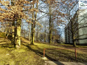 Prodej bytu 3+1, Cheb, Dvořákova, 74 m2