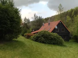 Prodej chalupy, Jiřetín pod Jedlovou - Lesné, 170 m2