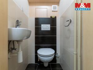 Prodej bytu 1+kk, Brno, Leitnerova, 21 m2