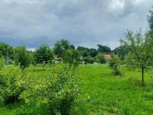 Prodej rodinného domu, Bartošovice, 840 m2