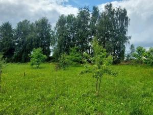 Prodej rodinného domu, Bartošovice, 840 m2