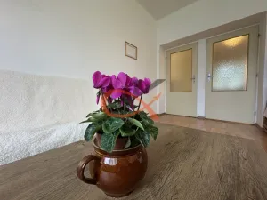 Prodej bytu 3+1, Valašské Meziříčí, Sklářská, 93 m2