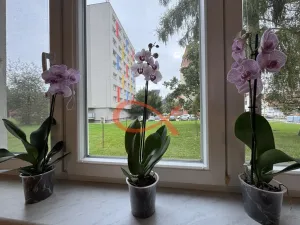 Prodej bytu 3+1, Valašské Meziříčí, Sklářská, 93 m2