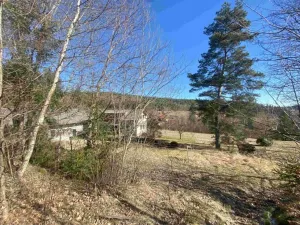 Dražba louky, Čkyně, 326 m2