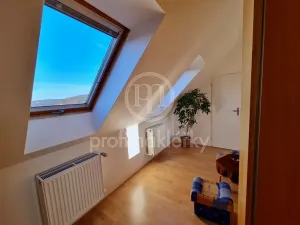 Pronájem bytu 2+kk, Bílovice nad Svitavou, Lesní, 54 m2