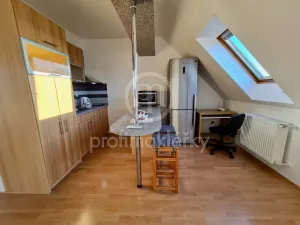 Pronájem bytu 2+kk, Bílovice nad Svitavou, Lesní, 54 m2