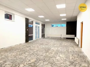 Pronájem obchodního prostoru, Jihlava, Demlova, 140 m2