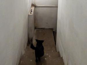 Prodej rodinného domu, Pchery - Humny, Husova, 180 m2