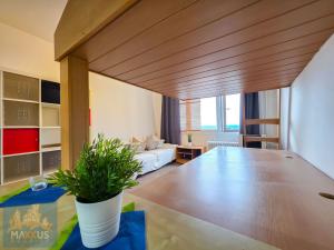 Pronájem bytu 1+kk, Praha - Braník, Vavřenova, 24 m2