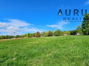 Prodej louky, Blatno, 34886 m2