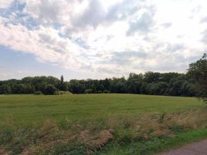 Prodej zahrady, Květnice, Lékořicová, 4623 m2