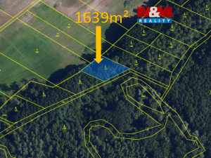 Prodej lesa, Hrabětice, 1639 m2