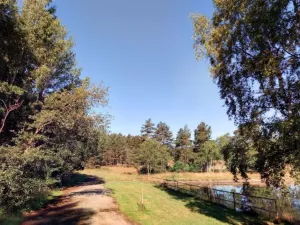 Prodej louky, Úněšov - Číhaná, 4893 m2