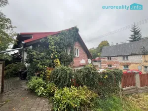 Pronájem bytu 1+kk, Teplá, Havlíčkova, 48 m2