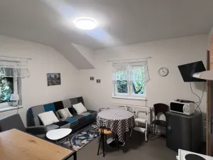 Pronájem bytu 1+kk, Teplá, Havlíčkova, 48 m2