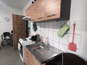 Pronájem bytu 1+kk, Teplá, Havlíčkova, 48 m2