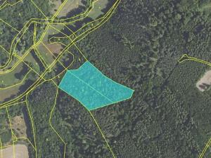 Prodej podílu lesa, Hudlice, 5790 m2