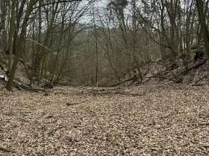 Prodej podílu lesa, Luka, 3584 m2