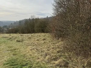 Prodej pozemku, Sloup, 4755 m2