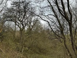 Prodej pozemku, Sloup, 4755 m2