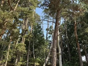 Prodej podílu pozemku, Hradiště, 3093 m2