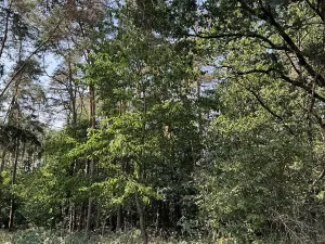 Prodej podílu pozemku, Hradiště, 3093 m2