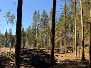 Prodej podílu pozemku, Studená, 18432 m2